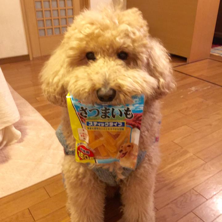 6177e162 e9d9 4ce0 954c b6cd80a23218