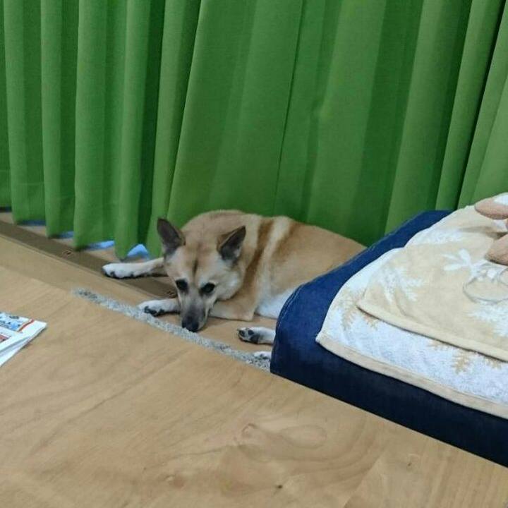 617a7771 26e3 42fa a00d 6f894d6a5dc8