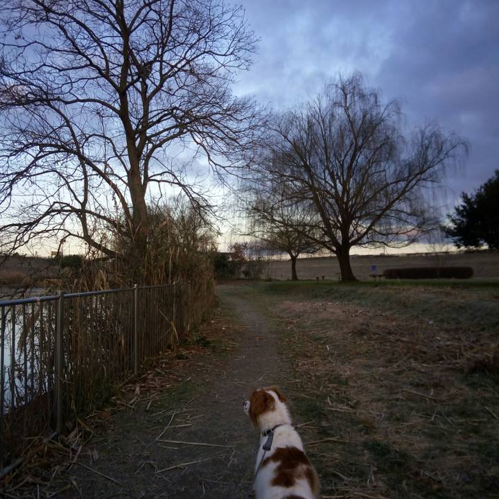 617b684b ab3c 4784 b3e8 ba5ce8277fe5