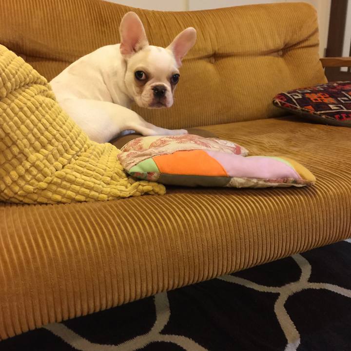 617c63f6 2e06 44e6 865c 2b15836b9ced