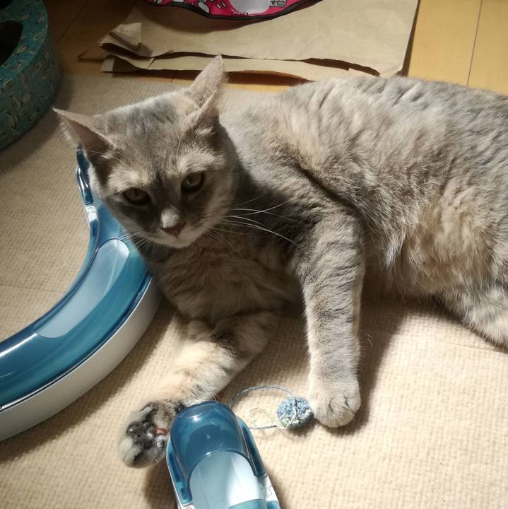 617c9544 3d0c 47d3 934e 85497a654a13