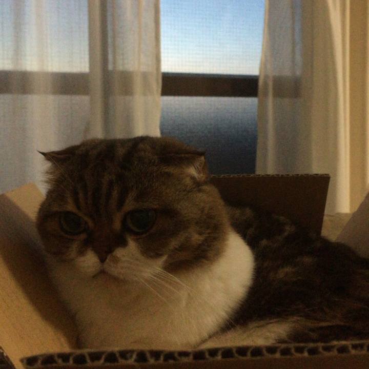 617d39b7 f05a 48f9 ae47 8e867902d32e