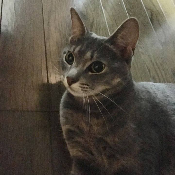 617d3fbe fb7a 4573 a89e 0032d5041936