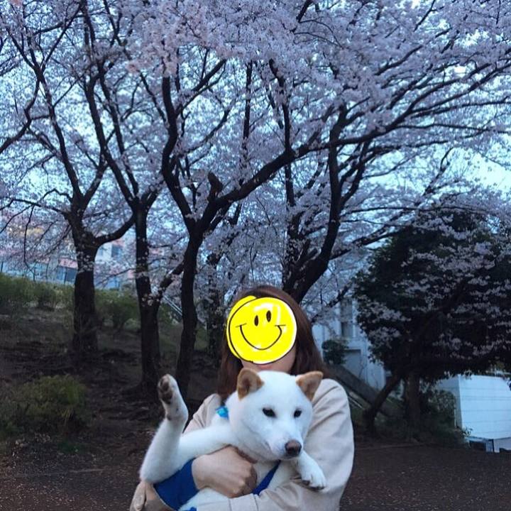 617d6ea8 b682 4fab 848c e72cb8eae2a4