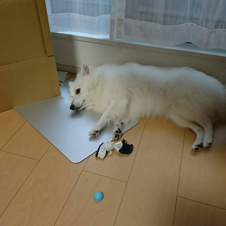 617d8de4 1311 4b35 bf75 9d667131c836