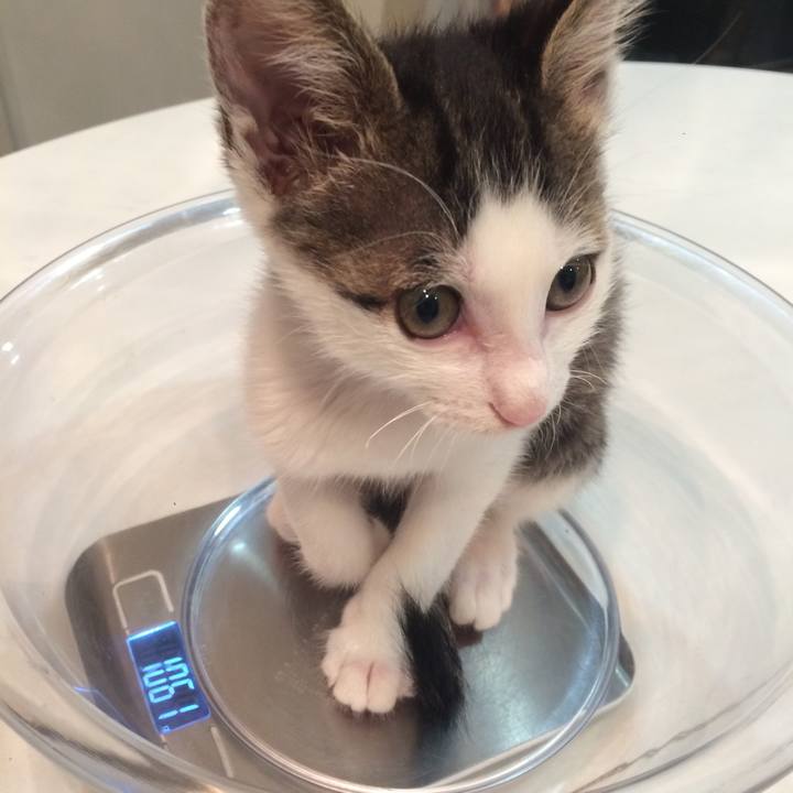 617dfafd 30d8 4c6b 979c aace3f0d7ea8