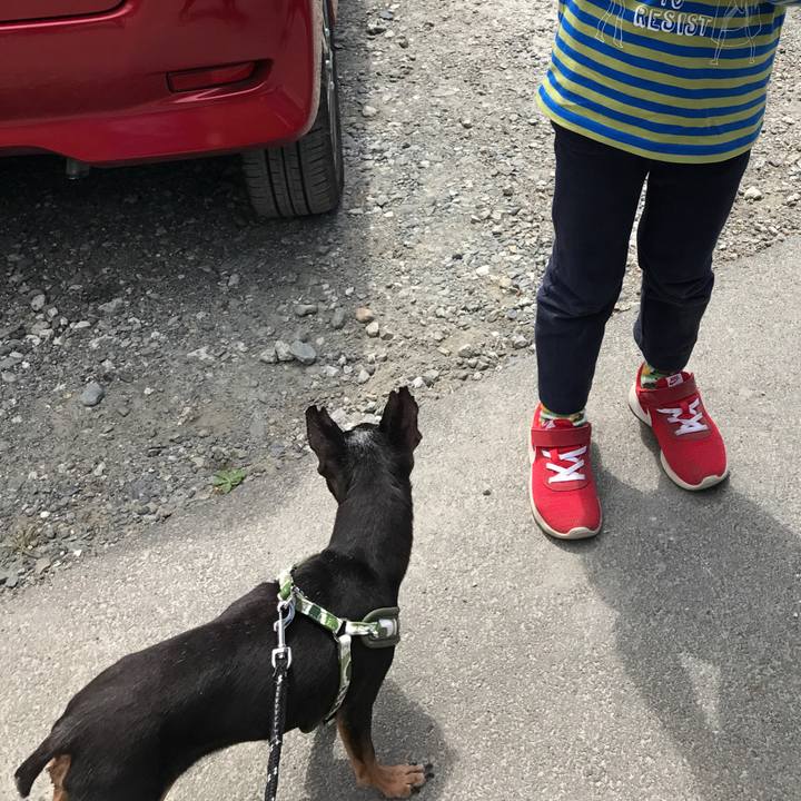 617dfbe6 656a 4c00 a443 1962074d8a69