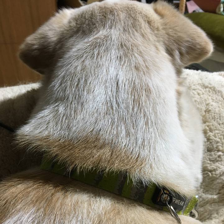 617e48a2 4c48 44d4 91cd f9400a6c1849