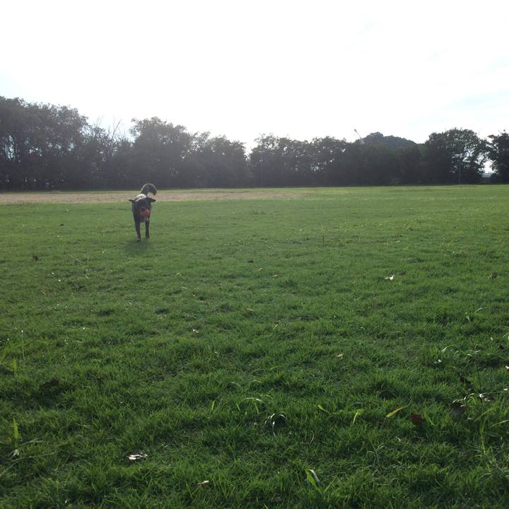 617e9cc4 ec2c 4e44 9dce 4fffcec5da72