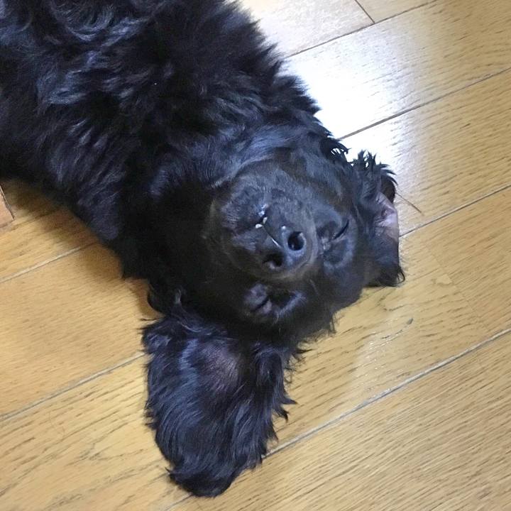 617eac24 9e16 4e98 80e3 e2eb3d210adb