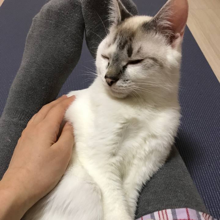 617ee9b7 56d1 47d1 ad62 e6eea0807bfa