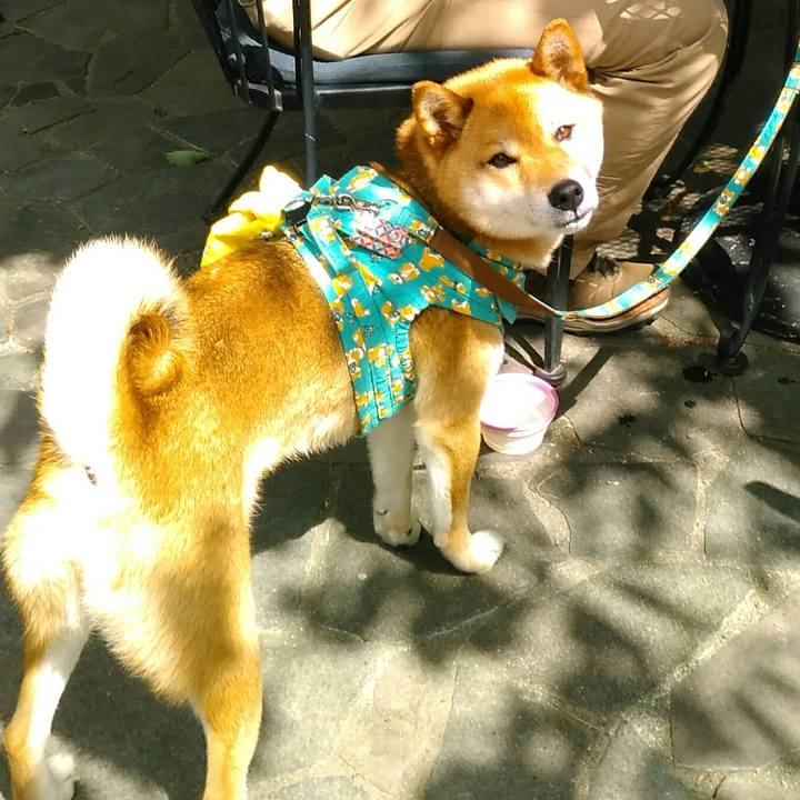 617ef177 d346 419a 9e4c 8aa121f9bf69