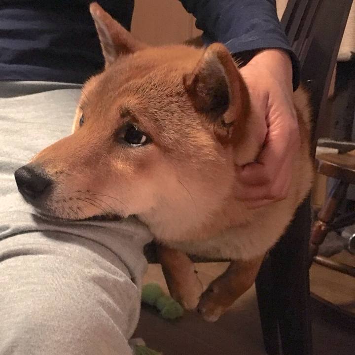 617fec75 bbf7 4918 ab23 a4efa48cff6f