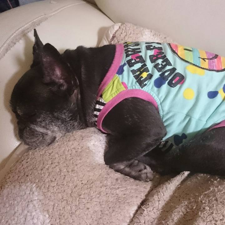 61805672 9544 4226 b126 aee56dc3a8e8