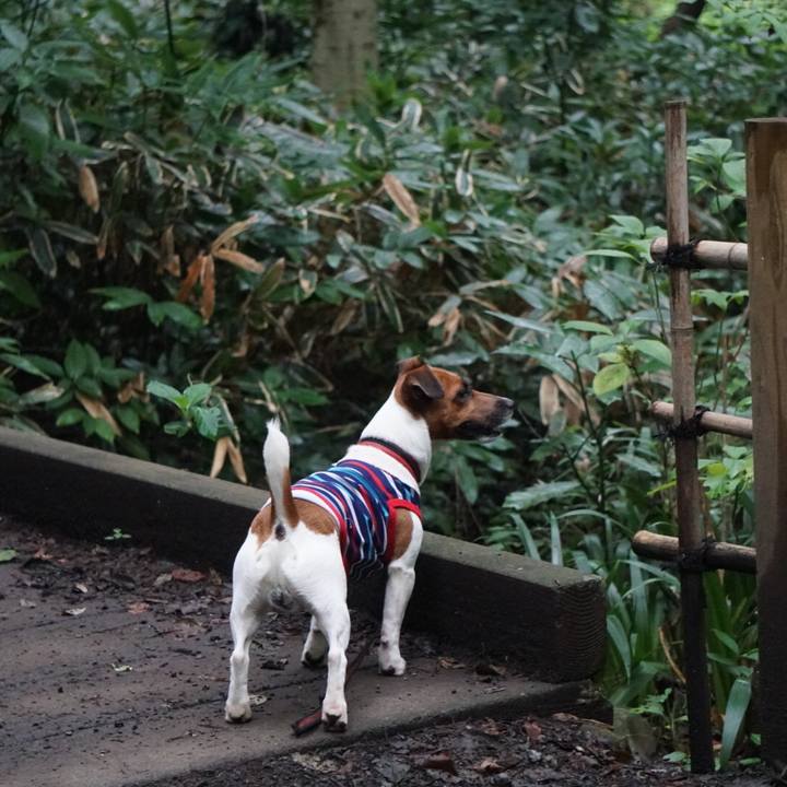 61805dd8 322c 415d 8d10 c4016d937fcb