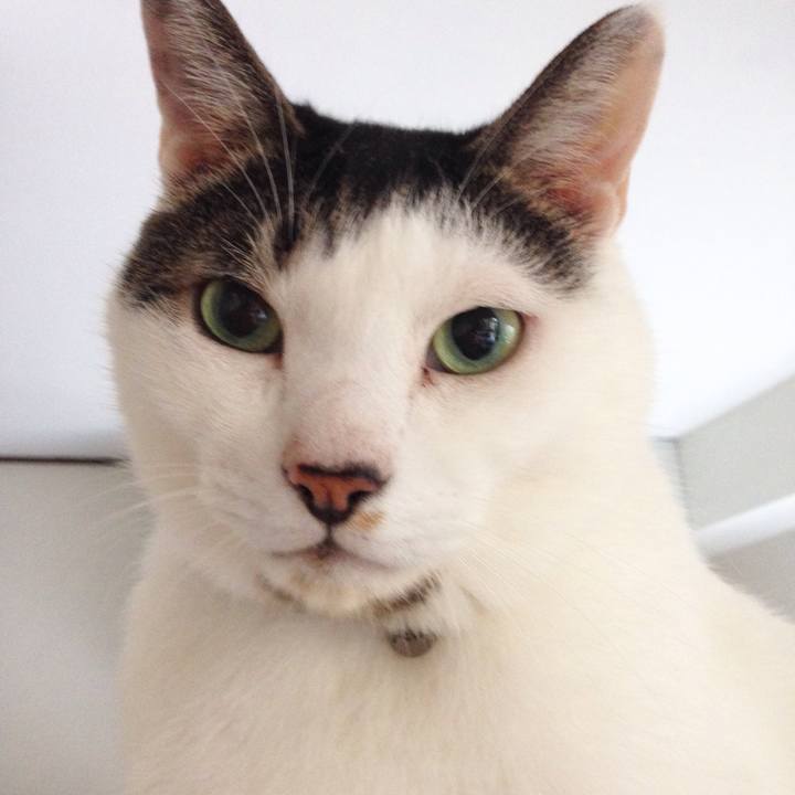 6181135b 4c3b 4409 8e42 02d3d44a4789