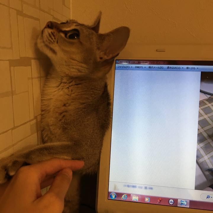 6181bce5 81d3 43ed b2c1 5f9c9d9cde6b