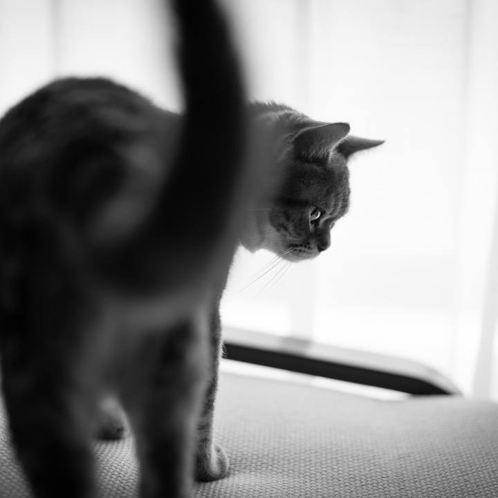 618268d5 d325 45df 8985 f3c8b0f1e574