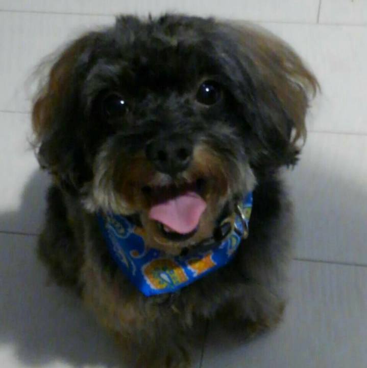 6182850d 4de6 4bd3 95e4 1b797f094abb