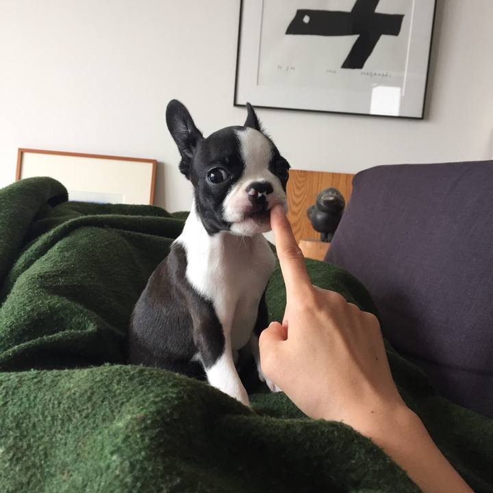 61831128 fc14 4a79 b5e2 616b2428ff4f