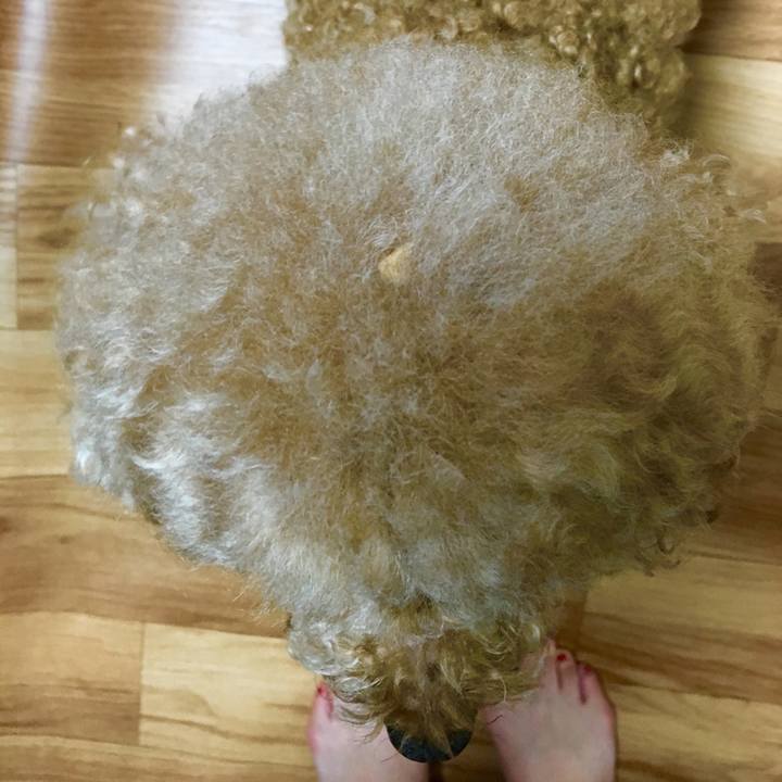 618320c7 7443 471f bb18 5819b02592c3