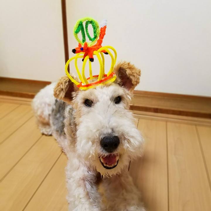 6183b5e9 5294 417f b3f2 5c2758622112