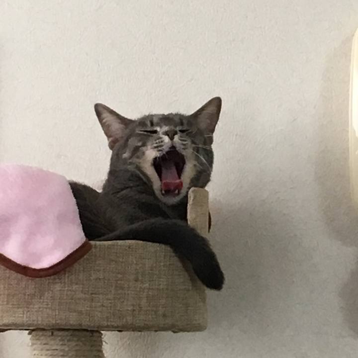 61842057 dcb6 4204 b66e aa84d1b5dc85