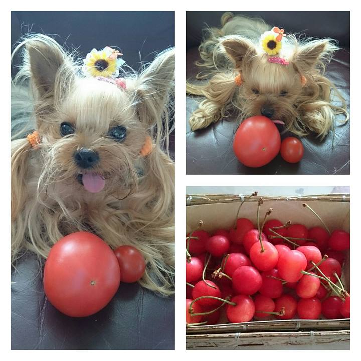 618453eb 7af3 4d71 980f 1bfad335f5c4