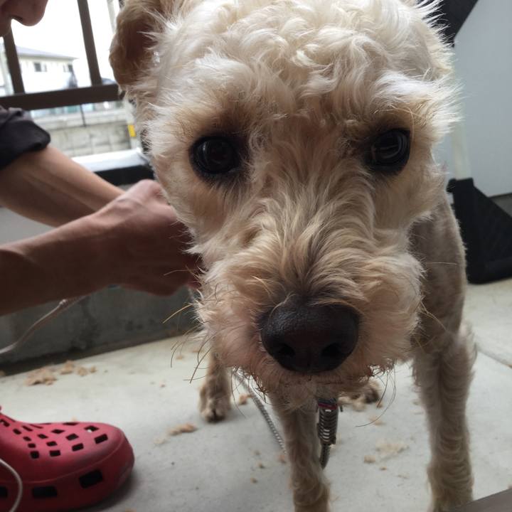 6184baa7 0039 4a7d 9113 cde5ac5452ad