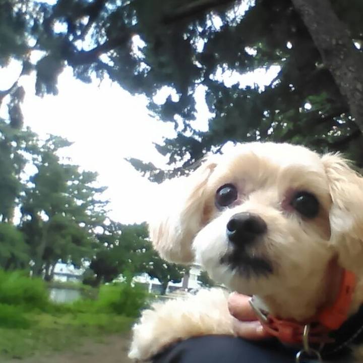 6184cc9f dbbe 4c37 a598 4bec5889ebe0