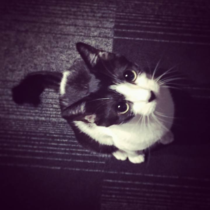 6185980c 557d 4834 971e 9ae139fd0c9b