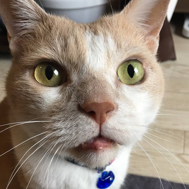 6185a7eb c617 43dd 8eb2 cd25826f6375