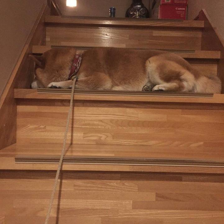 6186122e 1708 485d 9122 375fe6bd43f2