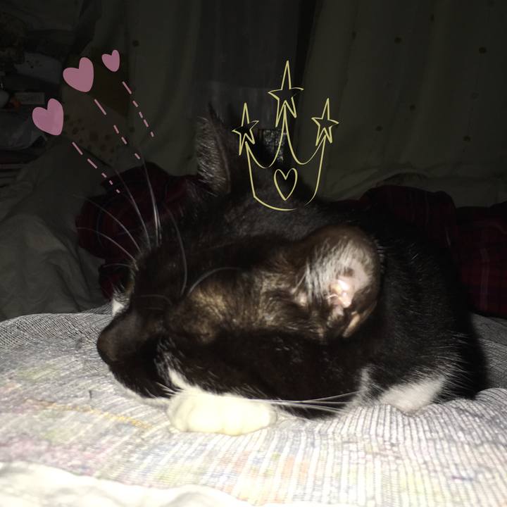 61863063 1208 4616 a992 634f40fc3aea