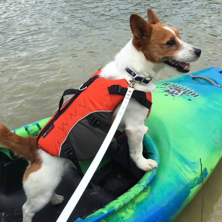 6187bf53 a966 45f3 acaa eff494155194