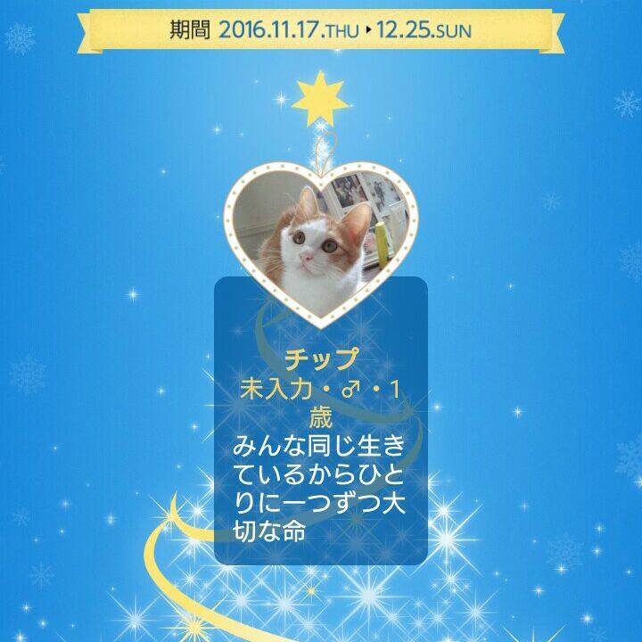 6187c355 a1dd 444c 9205 bea098c97642