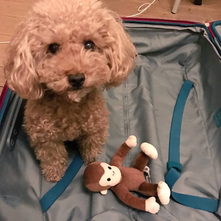 6188664c 9fb6 404e b873 f0c07f85e2da