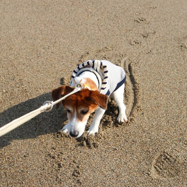 6188d8c8 91d5 4fd2 8c17 6d9af93a2575