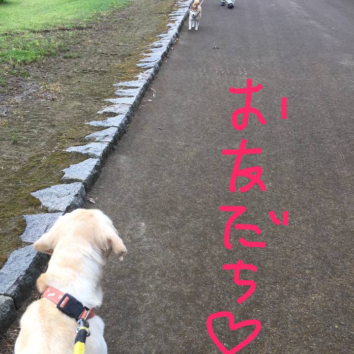 618a471e ae85 4646 b936 27c3649531a6