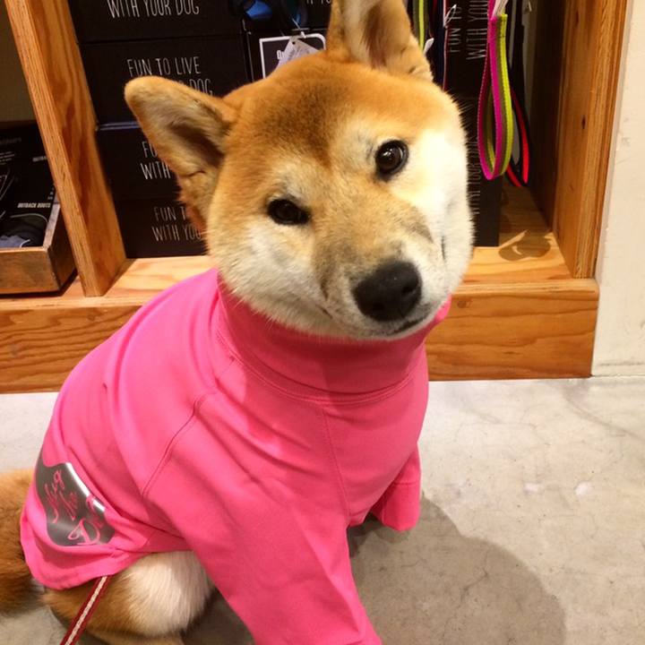 618a4ef8 ec6d 43a8 a33c 9daf7faf60d9