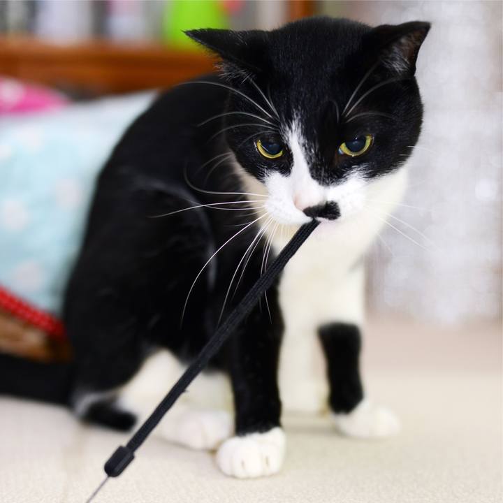 618afd5a 8329 43b8 bf00 315f8547f73c