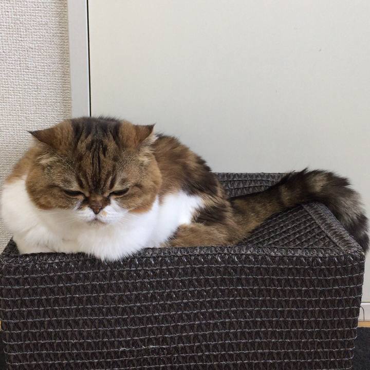 618b9f6e ce23 4f1a ae5a 1d724a432b74