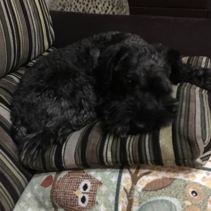 618bb3f5 db41 4f40 b389 120cf618abef