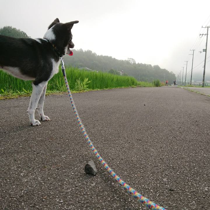 618be31b c315 47be 83e4 dc23c281c7b8