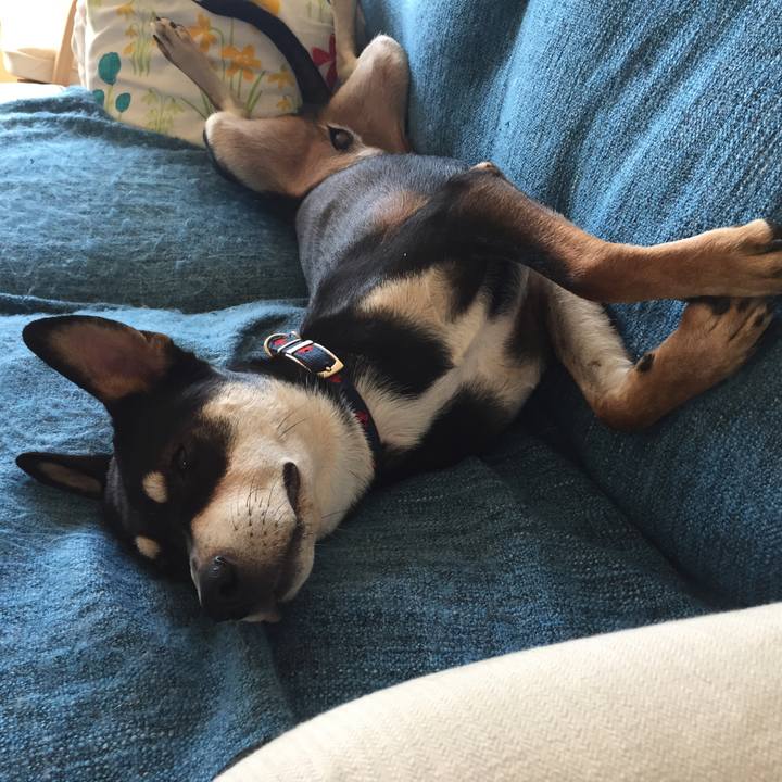 618c4f13 d41b 4da5 9350 e877caaeb4ed