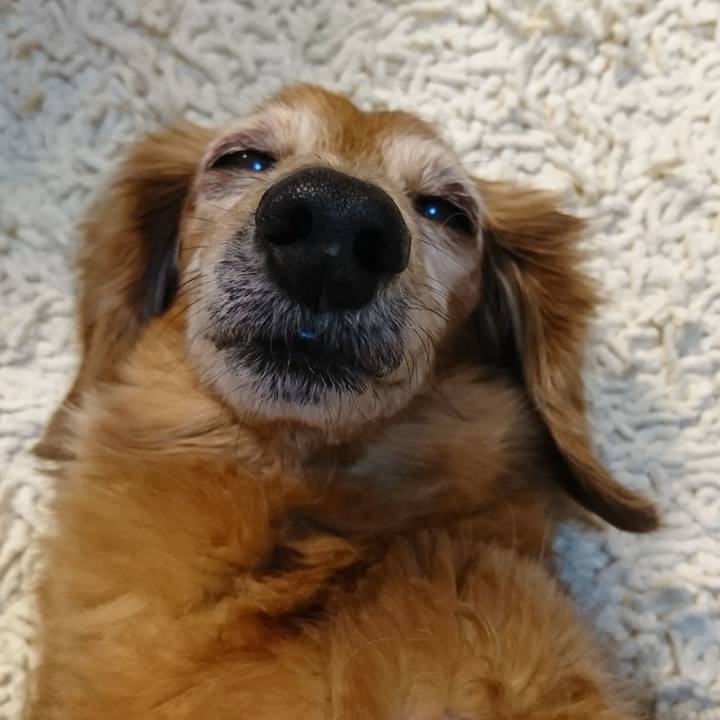 618c63cf 64e1 4caf 8c0a 16123acbd473