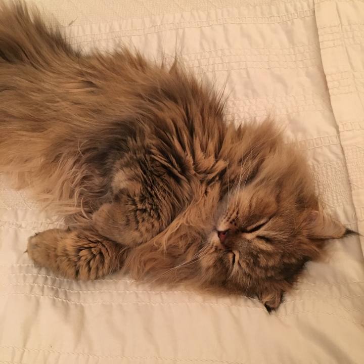 618ca1dd 2447 45aa b874 b60737226412