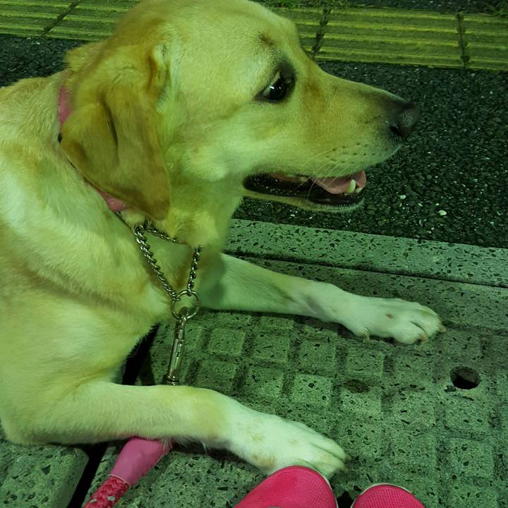 618cb7ae 04ce 4be7 a112 b17b8c501222