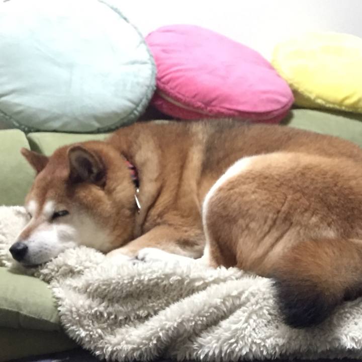 618d4ab0 8400 46e5 820f 9058dce1d817