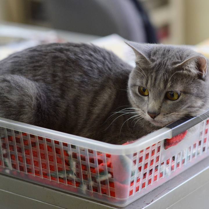 618d4ced 12f1 4b13 8e81 705849e243a3